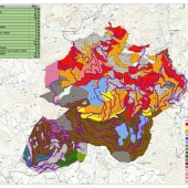 Uso del Suolo e Strade