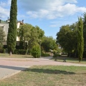 Zona