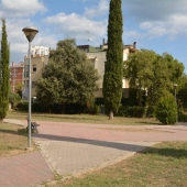 Zona